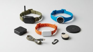 Смарт-трекери для тварин: як обрати надійний GPS-нашийник для улюбленця