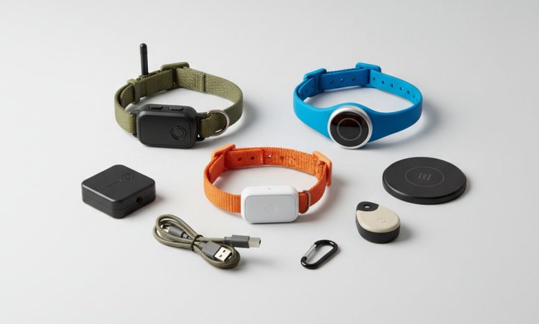 Смарт-трекери для тварин: як обрати надійний GPS-нашийник для улюбленця