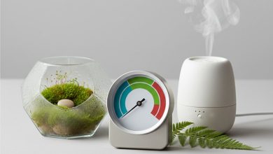 какая влажность должна быть в квартире